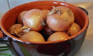 Onion soup diet