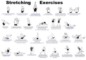 stretching routine