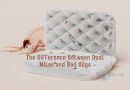 The Difference Between Dust Mites and Bed Bugs